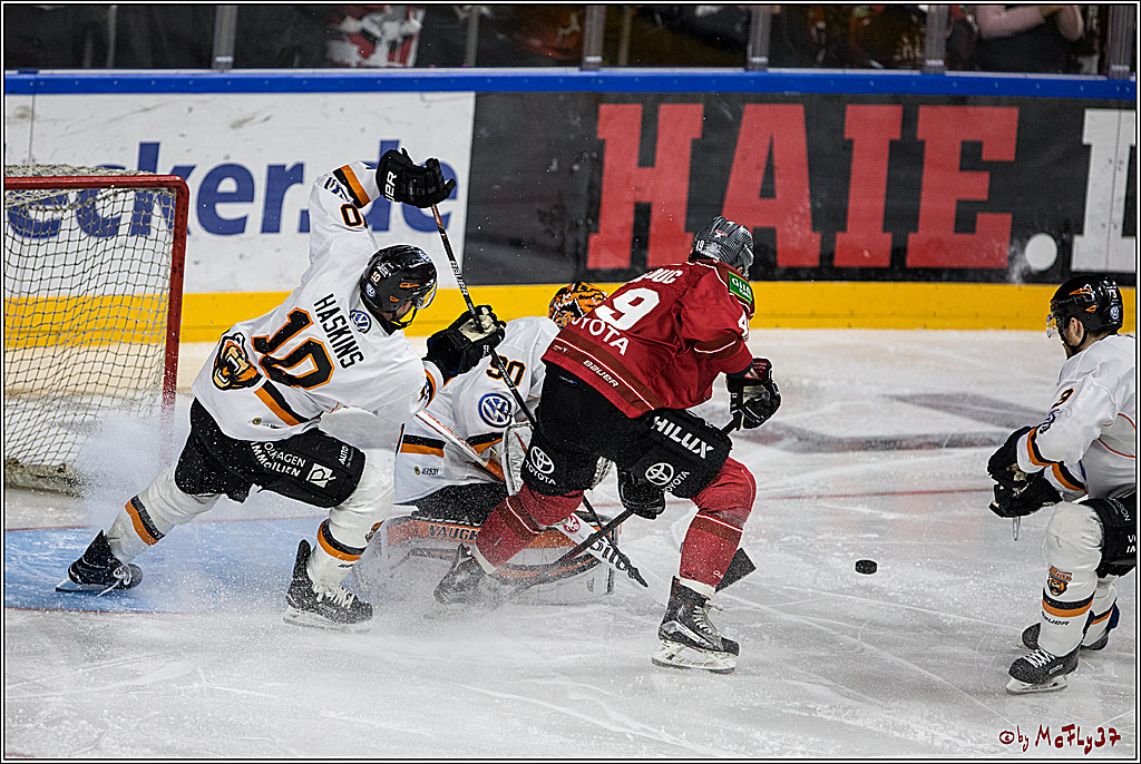 DEL, Koelner Haie - Grizzlys Wolfsburg, 21.03.2017
